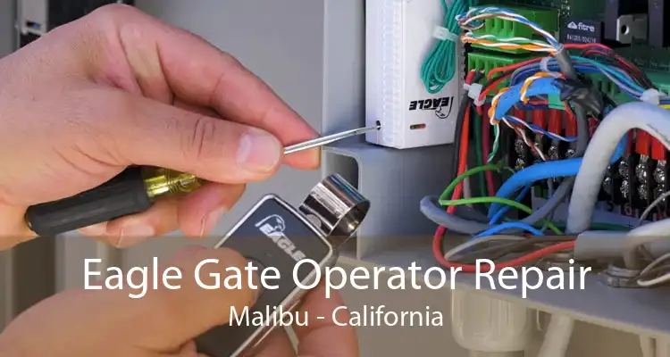 Eagle Gate Operator Repair Malibu - California