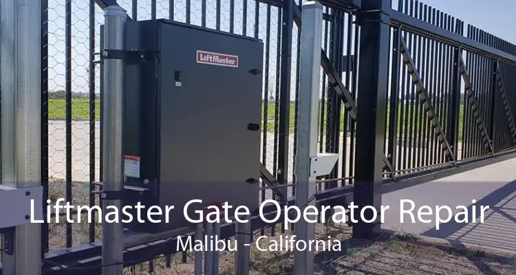 Liftmaster Gate Operator Repair Malibu - California